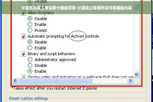 计算机高级工考试都分哪些项目-计算机公司看的证书有哪些内容