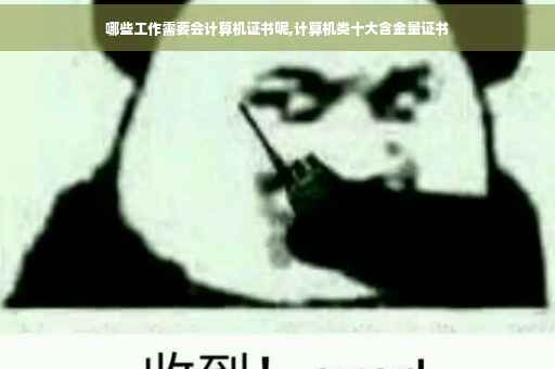 哪些工作需要会计算机证书呢,计算机类十大含金量证书