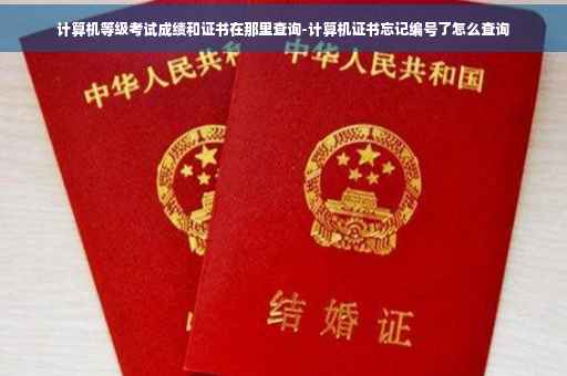 计算机等级考试成绩和证书在那里查询-计算机证书忘记编号了怎么查询