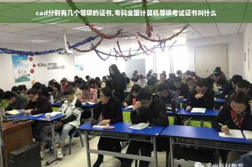 cad分别有几个等级的证书,专科全国计算机等级考试证书叫什么