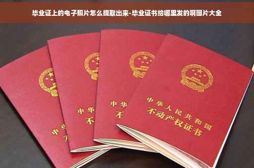 毕业证上的电子照片怎么提取出来-毕业证书给哪里发的啊图片大全