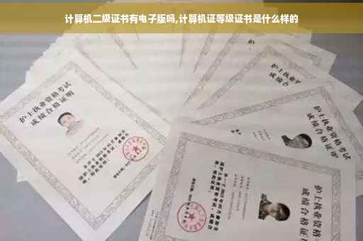 计算机二级证书有电子版吗,计算机证等级证书是什么样的