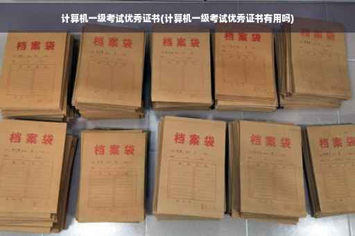 计算机一级考试优秀证书(计算机一级考试优秀证书有用吗)