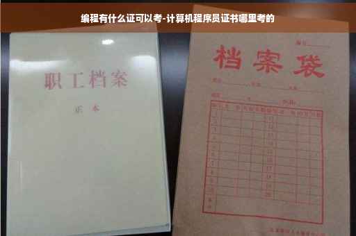 编程有什么证可以考-计算机程序员证书哪里考的