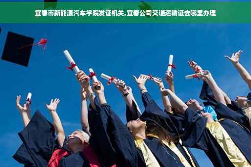 宜春市新能源汽车学院发证机关,宜春公司交通运输证去哪里办理