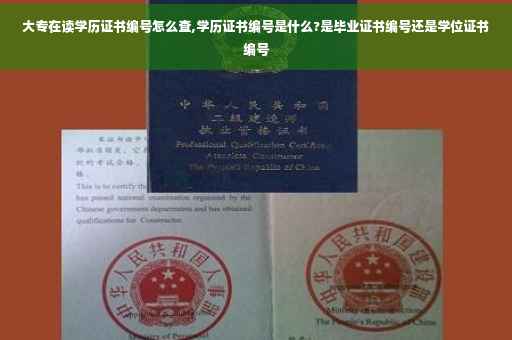 大专在读学历证书编号怎么查,学历证书编号是什么?是毕业证书编号还是学位证书编号