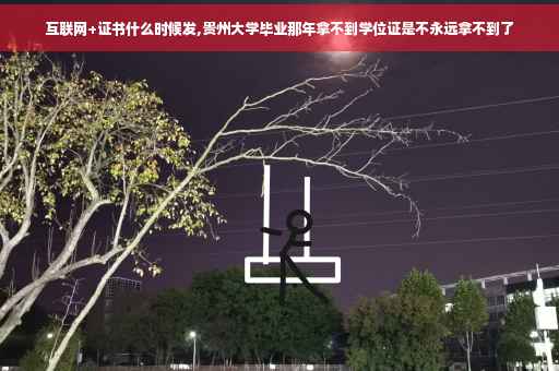 互联网+证书什么时候发,贵州大学毕业那年拿不到学位证是不永远拿不到了
