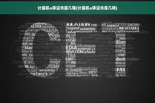 计算机a级证书算几等(计算机a级证书是几级)