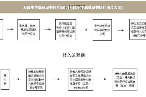 万隆小学毕业证书照片图片(万隆小学毕业证书照片图片大全)