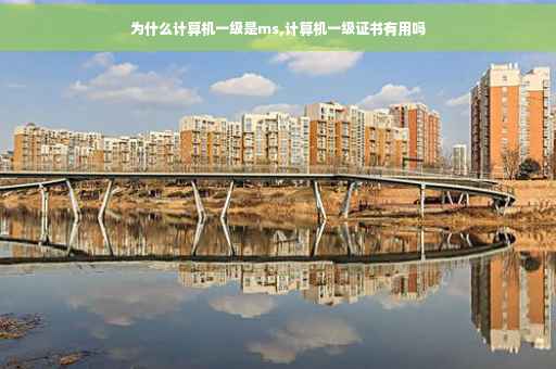 为什么计算机一级是ms,计算机一级证书有用吗
