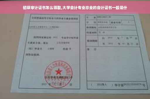 初级审计证书怎么领取,大学会计专业毕业的会计证书一般是什