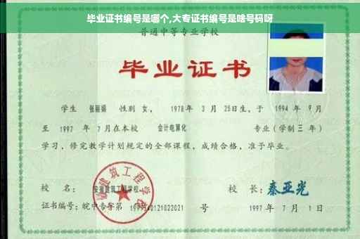 毕业证书编号是哪个,大专证书编号是啥号码呀 毕业证书编号是哪个,大专证书编号是啥号码呀