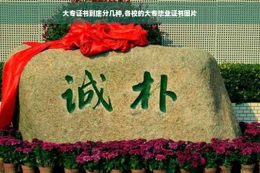 大专证书到底分几种,各校的大专毕业证书图片