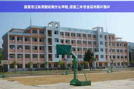 信宜市江东湾附近有什么学校,信宜二中毕业证书照片图片