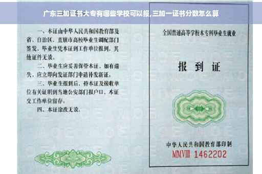 广东三加证书大专有哪些学校可以报,三加一证书分数怎么算