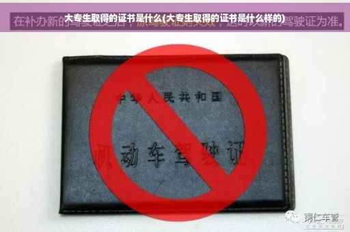 大专生取得的证书是什么(大专生取得的证书是什么样的)