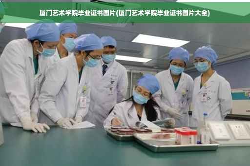 厦门艺术学院毕业证书图片(厦门艺术学院毕业证书图片大全)