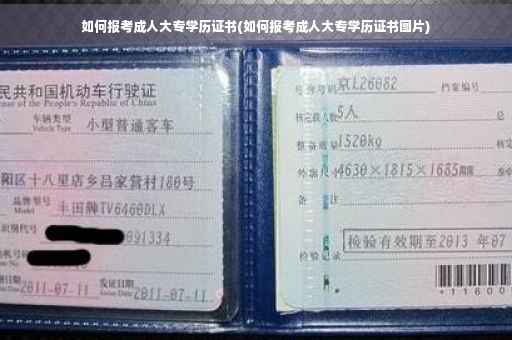 如何报考成人大专学历证书(如何报考成人大专学历证书图片)