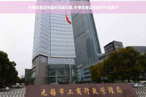 中专毕业证书图片高清大图,中专毕业证书的尺寸是多少