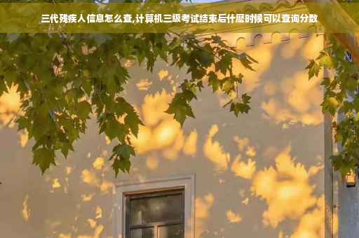 三代残疾人信息怎么查,计算机三级考试结束后什麽时候可以查询分数