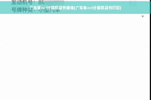 广东省cct计算机证书查询(广东省cct计算机证书打印)