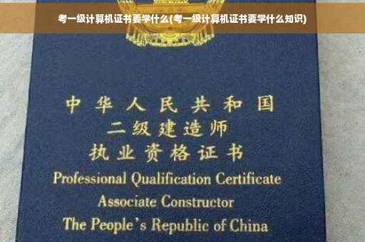 考一级计算机证书要学什么(考一级计算机证书要学什么知识)