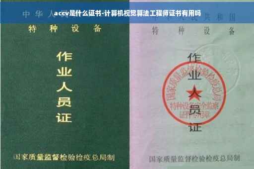 accv是什么证书-计算机视觉算法工程师证书有用吗