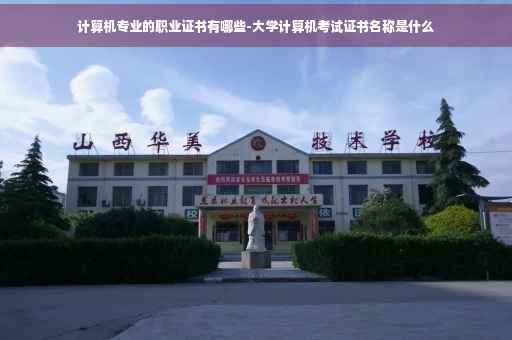 计算机专业的职业证书有哪些-大学计算机考试证书名称是什么