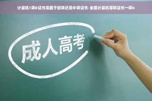计算机1级B证书是属于初级还是中级证书-全国计算机等级证书一级b