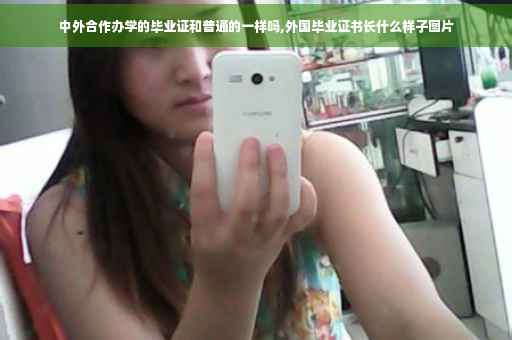 中外合作办学的毕业证和普通的一样吗,外国毕业证书长什么样子图片