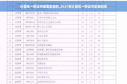 计算机一级证书哪里发放的,2021年计算机一级证书发放时间