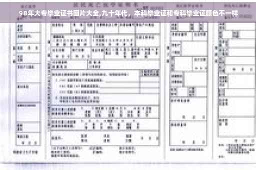 98年大专毕业证书图片大全,九十年代，本科毕业证和专科毕业证颜色不一样
