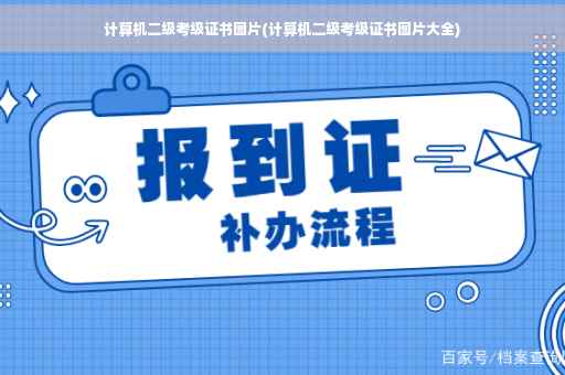 计算机二级考级证书图片(计算机二级考级证书图片大全)