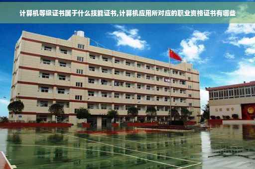 计算机等级证书属于什么技能证书,计算机应用所对应的职业资格证书有哪些
