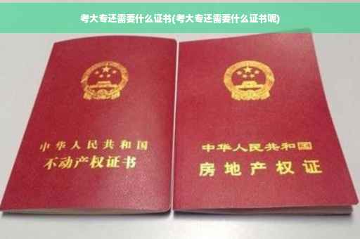 考大专还需要什么证书(考大专还需要什么证书呢)