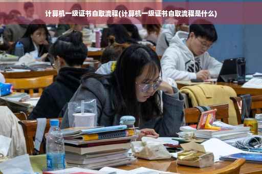 计算机一级证书自取流程(计算机一级证书自取流程是什么)