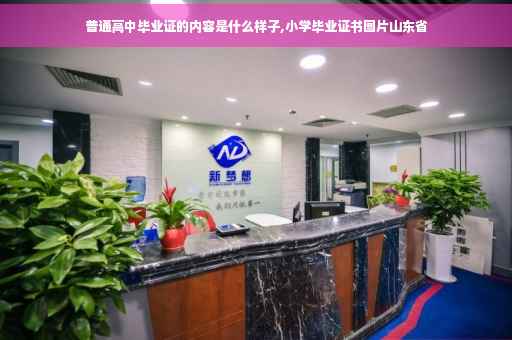 普通高中毕业证的内容是什么样子,小学毕业证书图片山东省