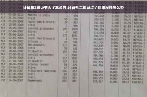 计算机2级证书丢了怎么办,计算机二级证过了期限没领怎么办