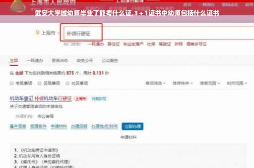 武安大学城幼师毕业了能考什么证,3＋1证书中幼师包括什么证书