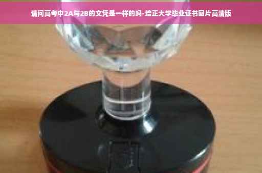 请问高考中2A与2B的文凭是一样的吗-培正大学毕业证书图片高清版