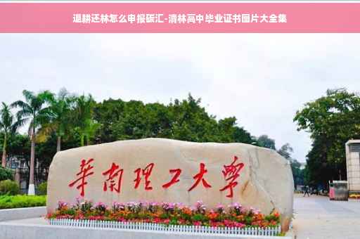 退耕还林怎么申报碳汇-清林高中毕业证书图片大全集