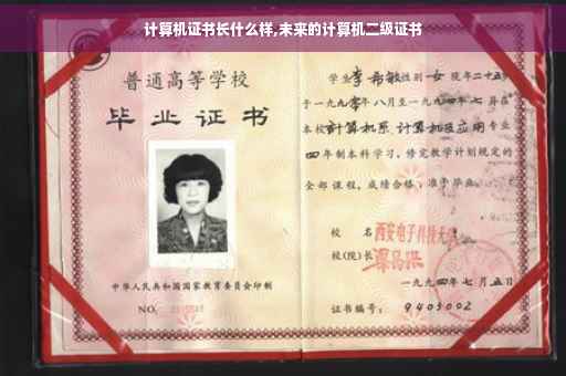计算机证书长什么样,未来的计算机二级证书