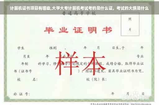 计算机证书项目有哪些,大学大专计算机考试考的是什么证，考试的大纲是什么