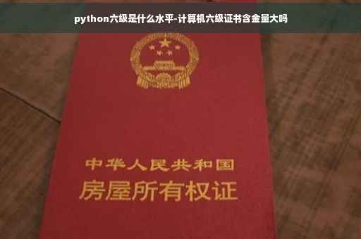python六级是什么水平-计算机六级证书含金量大吗