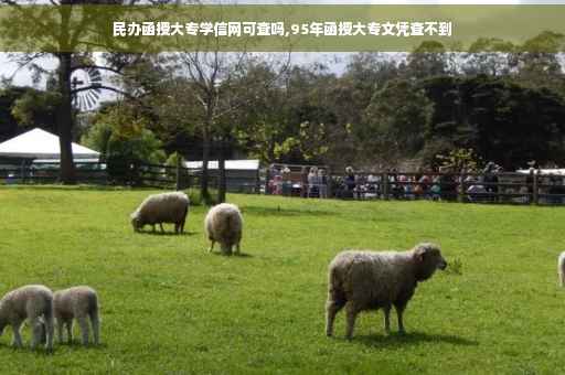 民办函授大专学信网可查吗,95年函授大专文凭查不到