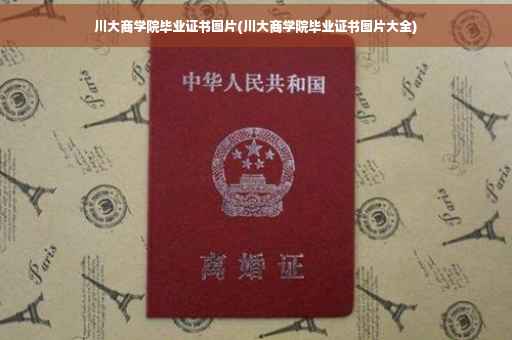 川大商学院毕业证书图片(川大商学院毕业证书图片大全)