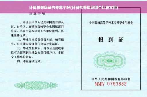计算机等级证书考哪个好(计算机等级证哪个比较实用)