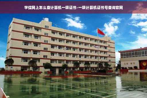 学信网上怎么查计算机一级证书-一级计算机证书号查询官网