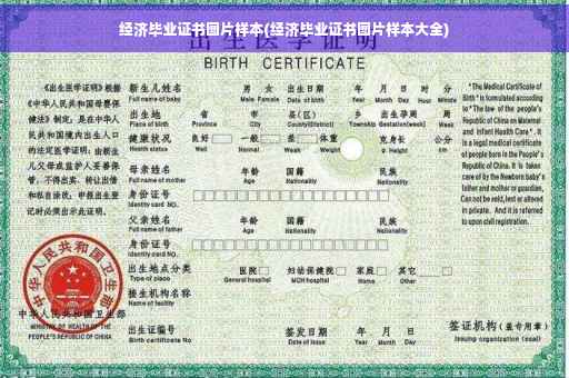 经济毕业证书图片样本(经济毕业证书图片样本大全)
