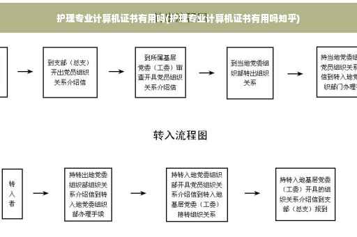护理专业计算机证书有用吗(护理专业计算机证书有用吗知乎)